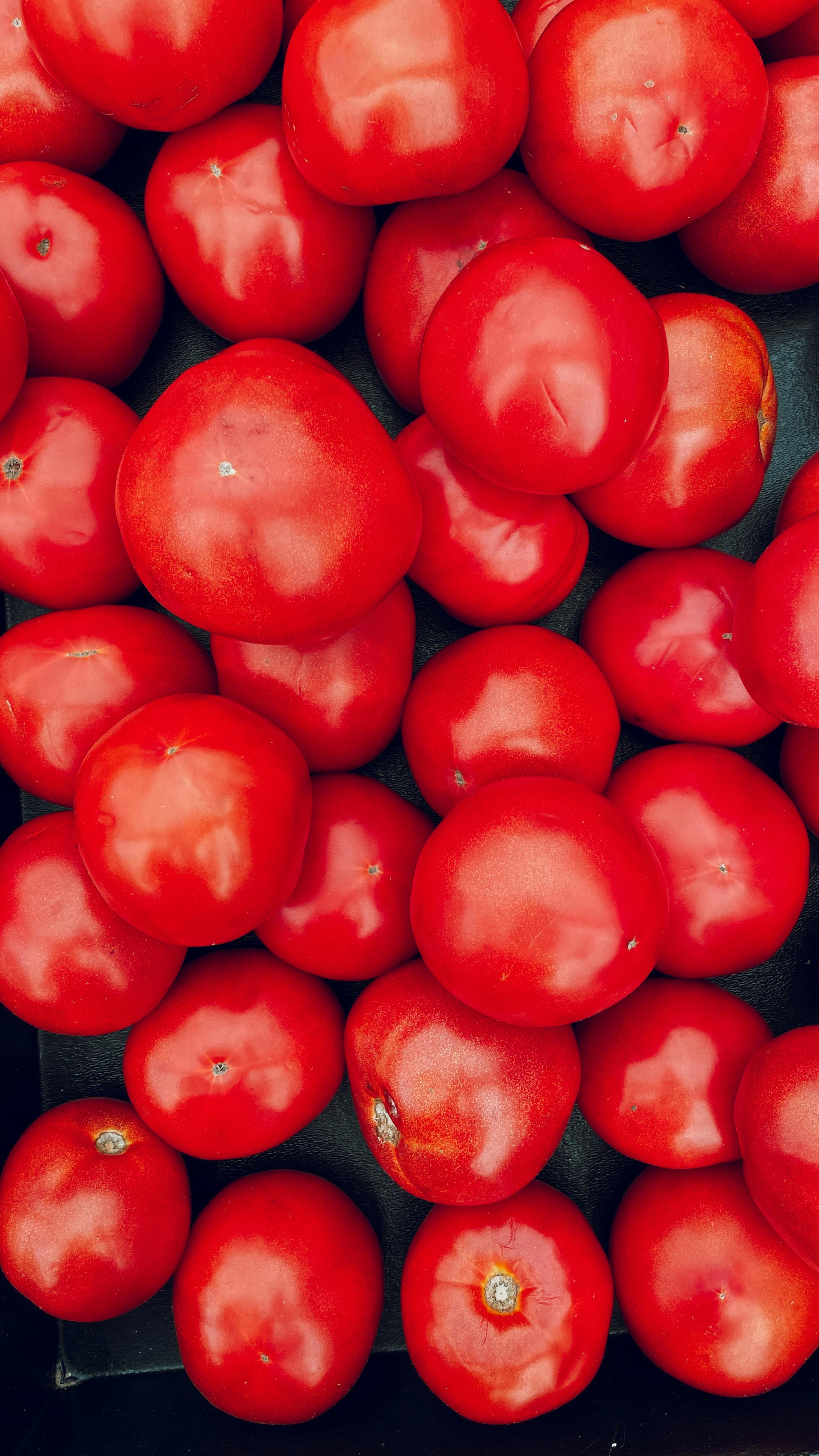 Tomates fraîches